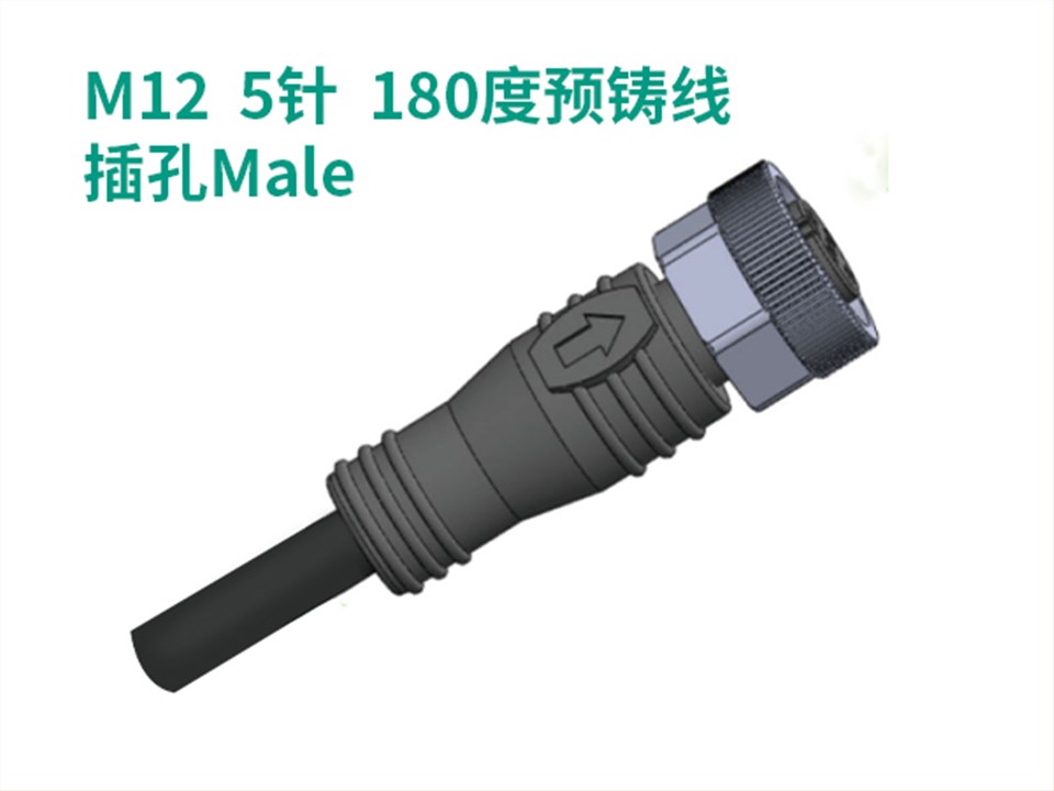 M12  5针  180度预铸线