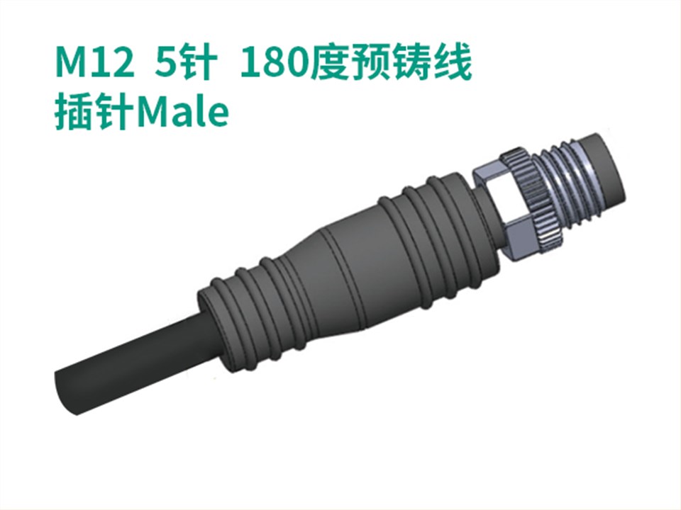 M12  5针  180度预铸线